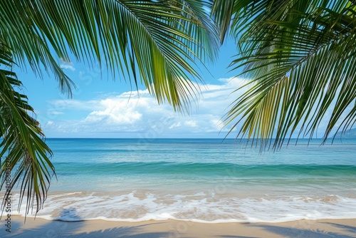 Clear blue sea and sky from a sandy beach  framed by green palm leaves