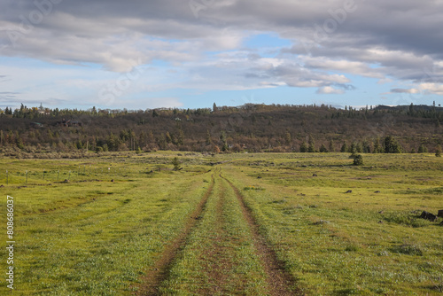 Scenic view of a dirt road through a grassy field