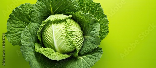 A top down perspective of a cabbage on a vibrant green backdrop with space for additional images or content