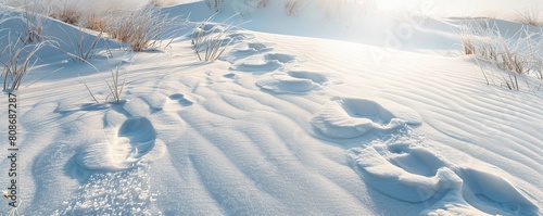 Background 0f White Sand with Footprints photo