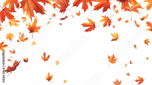 Autumn background with falling leaves isolated on white