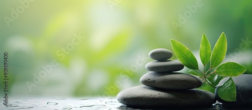 Blurred background with wet spa stones and green leaves creating a copy space image