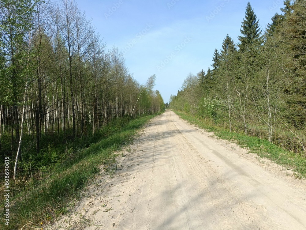 Road in forest in Siauliai county during sunny summer day. Oak and birch tree woodland. Sunny day with white clouds in blue sky. Bushes are growing in woods. Sandy road. Nature. Miskas. Road in forest in Siauliai county during sunny summer day. Oak and birch tree woodland. Sunny day with white clouds in blue sky. Bushes are growing in woods. Sandy road. Nature. Miskas.