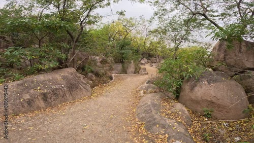 Path in the Mama Vagne Pahar photo