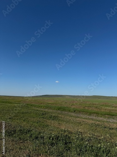 field and blue sky