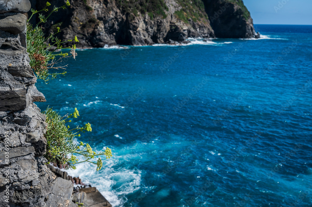 Magic of the Cinque Terre. Timeless images. Riomaggiore and its bright colours.