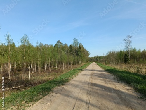 Road in forest in Siauliai county during sunny summer day. Oak and birch tree woodland. Sunny day with white clouds in blue sky. Bushes are growing in woods. Sandy road. Nature. Miskas. photo