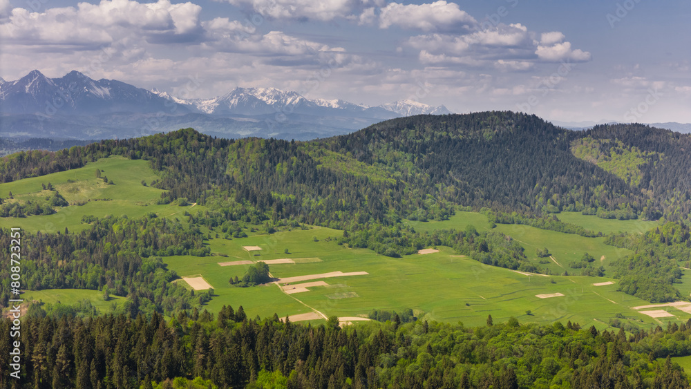 Obraz premium Aerial drone view over green hills of Pieniny National Park and snowy Tatra Mountains