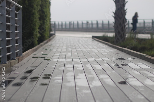 Rainy day walkway surrounded by trees