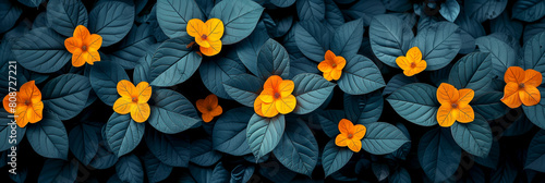Orange flower petals with blue leaves on a dark terrestrial plant background photo