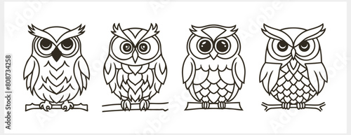 Doodle owl icon isolated. Animal art. Coloring page book. Sketch vector stock illustration. EPS 10 (ID: 808734258)