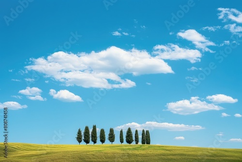 Small Trees. Blue Sky Over Grove of Cypress Trees in Tuscany, Italy. Ideal Copy Space for Travel Journey