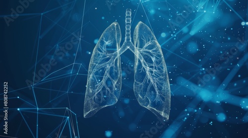 Connections between the lungs of a human