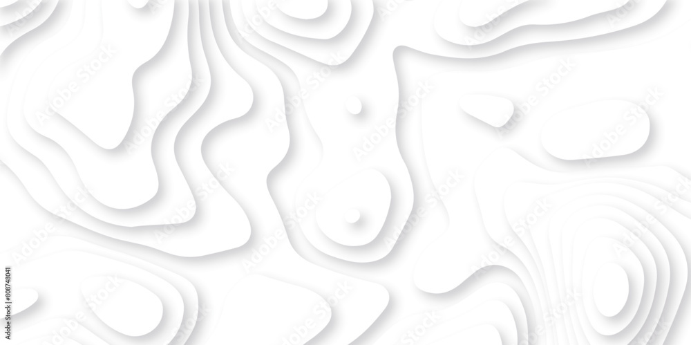 Abstract white paper cut background with lines. Background of the topographic map. White wave paper curved reliefs abstract background. Realistic papercut decoration textured with wavy layers. Abstract white paper cut background with lines. Background of the topographic map. White wave paper curved reliefs abstract background. Realistic papercut decoration textured with wavy layers.