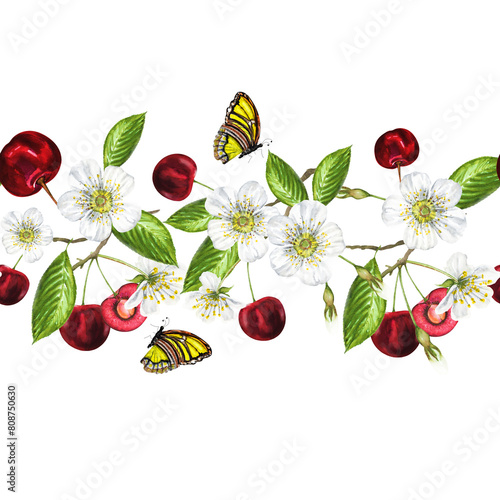 Watercolor border with white flowers and ripe juicy cherries with butterflies and leaves. Beautiful border with hand-drawn cherries.