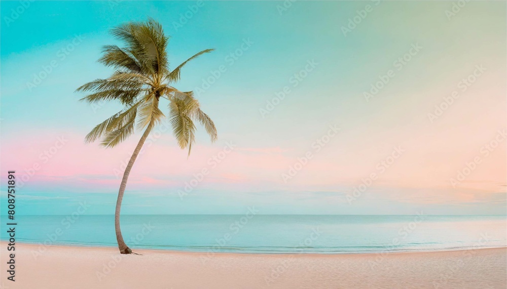 白い砂浜　ヤシの木　海　南国　パラダイス　リゾート　トラベル　イメージ　フレーム　背景