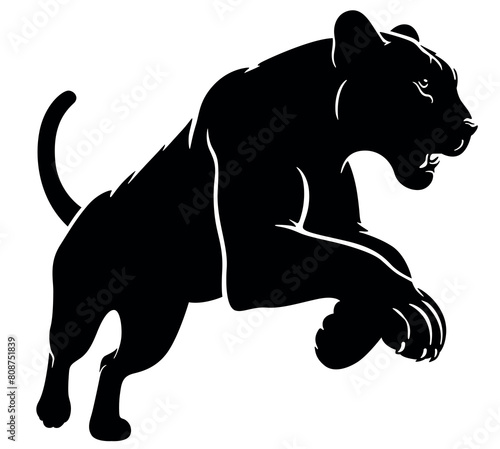 Drawing of a Black Wild Panther © Roman Dekan