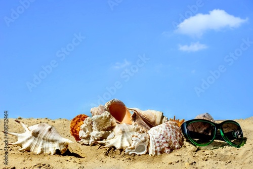 Seashells and sunglasses on sandy beach against blue sky, vacation concept