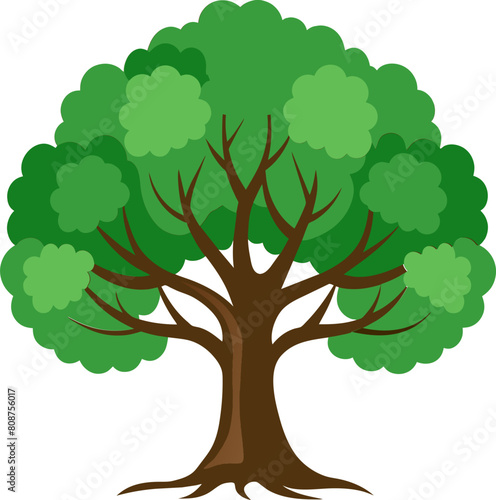 oak tree illustration