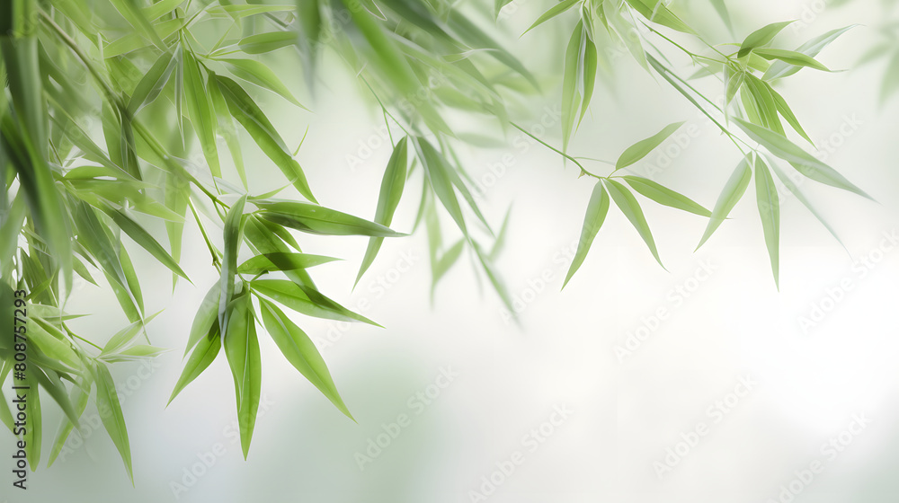 Fototapeta premium Digital abstract green bamboo soft dreamy tones illustration graphic poster background