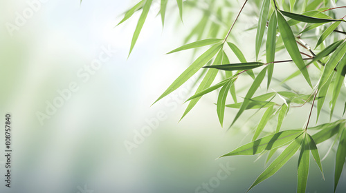 Digital abstract green bamboo soft dreamy tones illustration graphic poster background