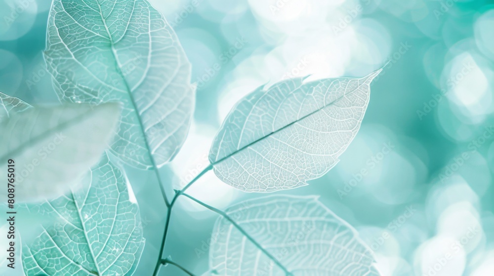 Delicate Skeleton Leaves Close-up, Soft Blue and Light Green Tones, Natural Texture in High Definition, Static Composition with Blurred Foreground Delicate Skeleton Leaves Close-up, Soft Blue and Light Green Tones, Natural Texture in High Definition, Static Composition with Blurred Foreground