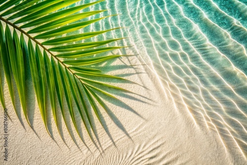 The concept of a summer vacation on the beach. View of tropical leaves on the surface of the water. The shade of palm leaves on the white sand beach. Beautiful abstract background for the banner.