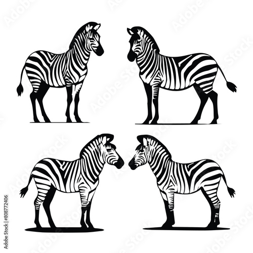 zebra vector silhouette design logo