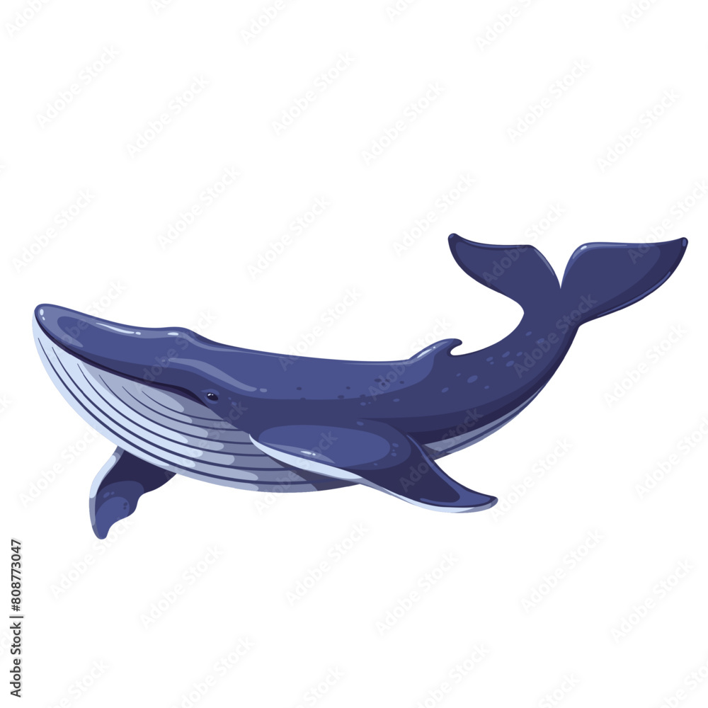Swimming whale, cartoon sea and ocean animal. Cute giant blue aquatic mammal with fins and tail, cartoon diving underwater humpback whale, wild nature and marine wildlife vector illustration Swimming whale, cartoon sea and ocean animal. Cute giant blue aquatic mammal with fins and tail, cartoon diving underwater humpback whale, wild nature and marine wildlife vector illustration