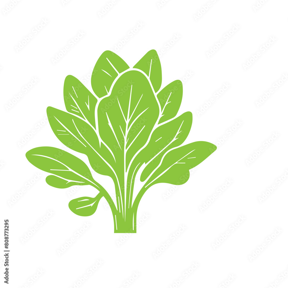 Fototapeta premium hand draw vegetable vector flat design