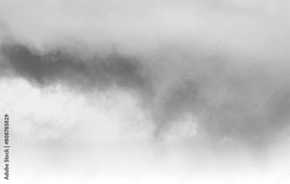 Фотография White Fog Transparent Overly