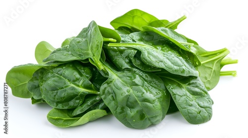 Close up of fresh Spinach Leaves on a white Background