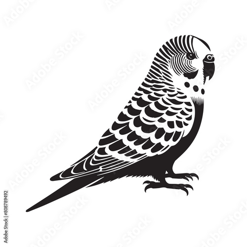 Parakeet bird logo icon vector image  Design Vector