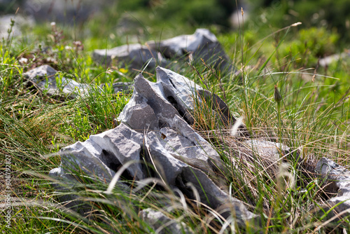 limestone rocks in karst land