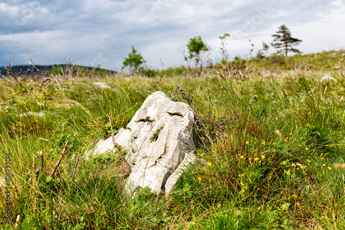 funny limestone rock in karst palteau