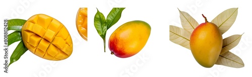 A single pic mango on white background top view