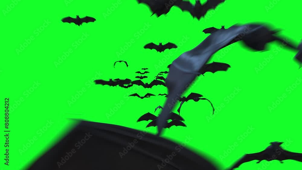 Swarm of Bats Flying towards camera on Green Screen. 3d animation rendering .