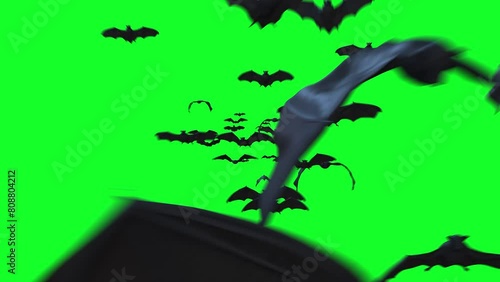 Swarm of Bats Flying towards camera on Green Screen. 3d animation rendering . photo