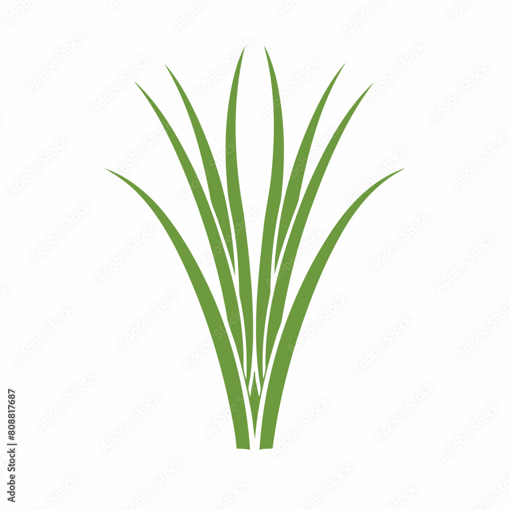 Simple Lemongrass Emblem Featuring Green Design in Vector Format on White Background