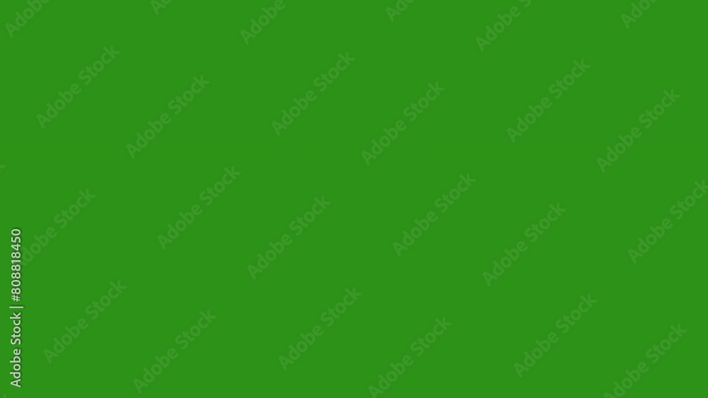 Animated white flashing star on a green background, 2D render. Animated white flashing star on a green background, 2D render.