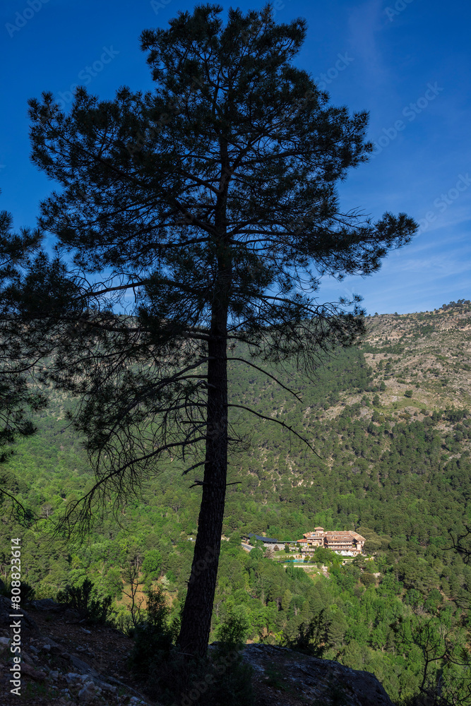 Obraz premium Lanchón Viewpoint and hill-Puerto de las Palomas,, Natural Park of the Sierras de Cazorla, Segura and Las Villas, Jaén province, Andalusia, Spain