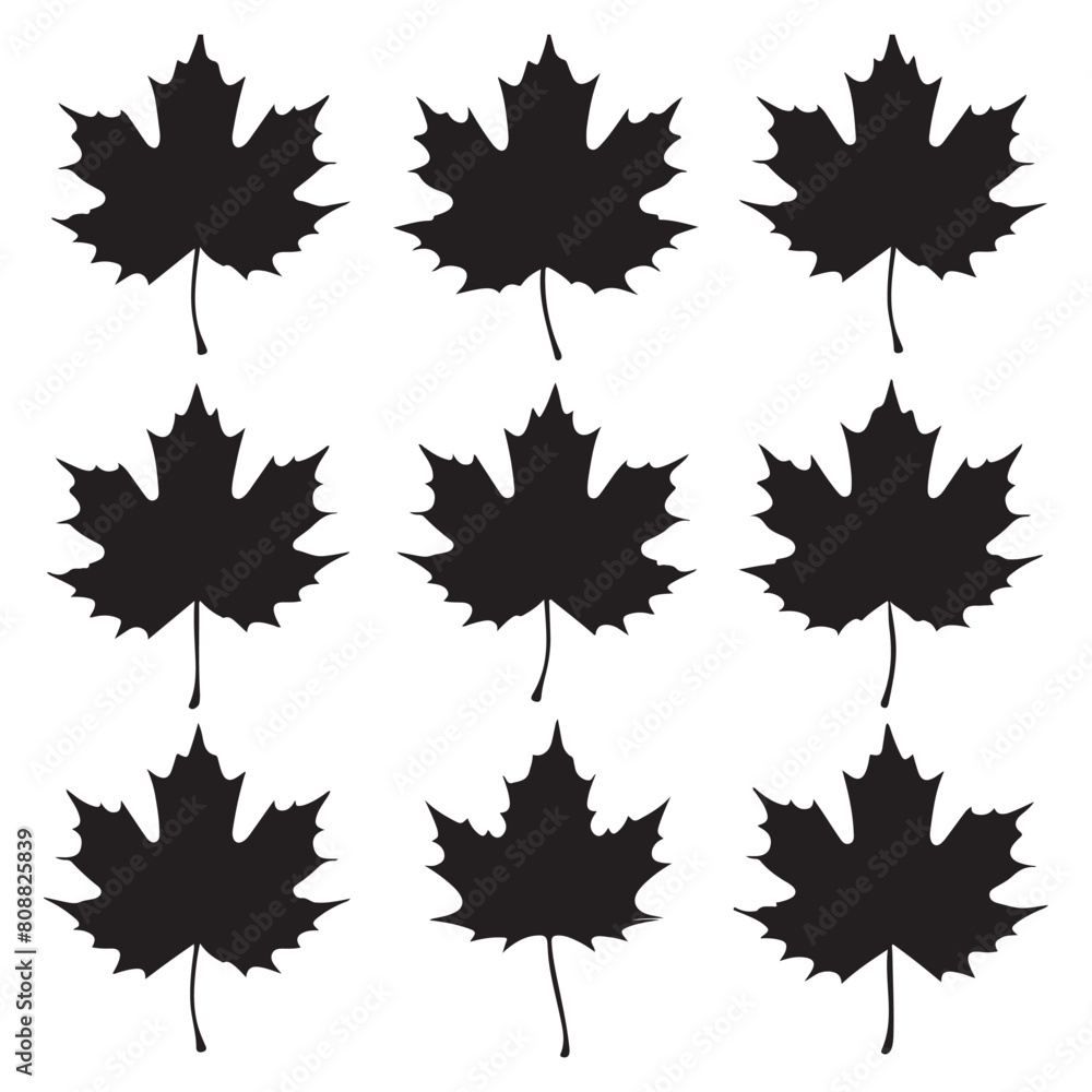 Maple leaf black silhouette set. Autumn forest maple leaf icon illustration
Maple leaf black silhouette set. Autumn forest maple leaf icon illustration
