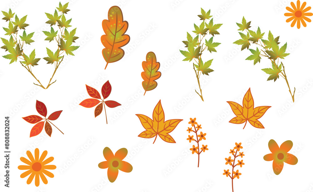 background, pattern, texture, isolated, frame, nature, gold, tree, leaf, forest, autumn, garden, circle, orange, leaves, thanksgiving, wallpaper, plant, idea, mock up, colorful, fall, beautiful, natur