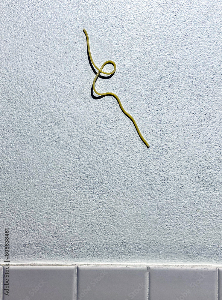 Φωτογραφία Al Dente Spaghetti thrown and sticked on the kitchen wall