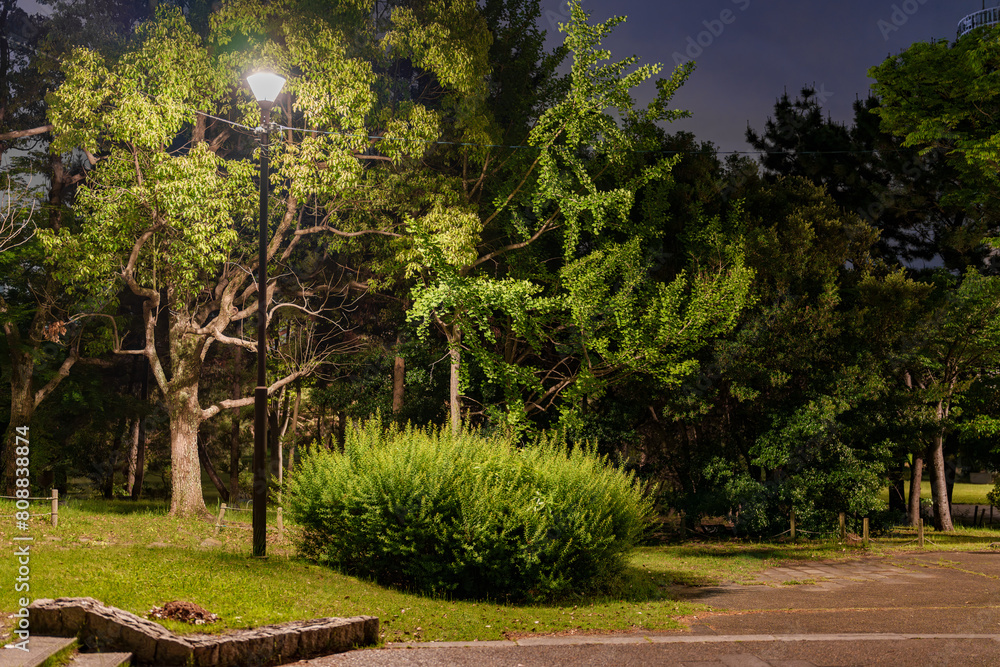 深夜の公園の風景 深夜の公園の風景