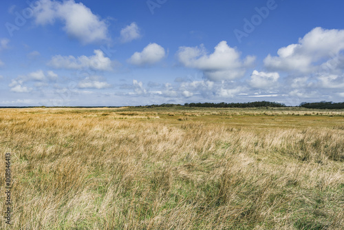 Natural landscape on the dutch island Schiermonnikoog photo