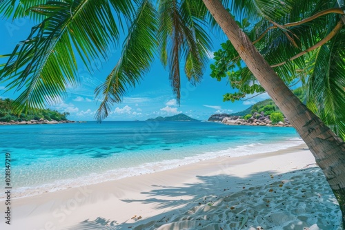 Azure sky  palm tree  fluid ocean a tropical beach paradise