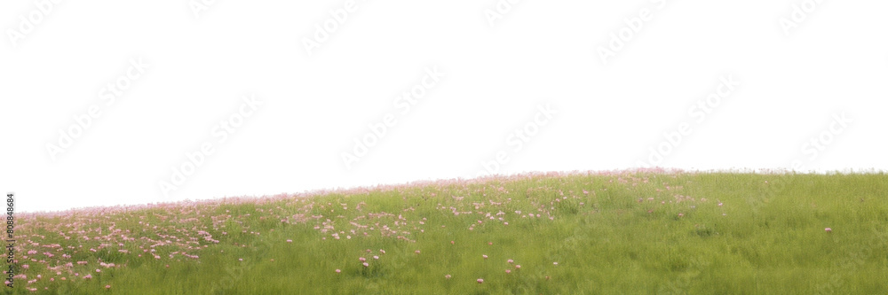 PNG  Wildflower hill sky landscape outdoors. AI generated Image by rawpixel.