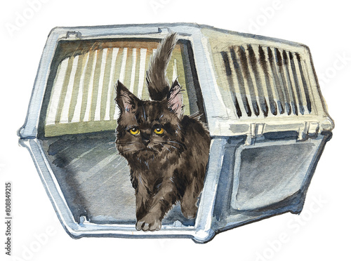 Cat in a carrier illustration isolated on white. Watercolor animal health care concept clipart. photo