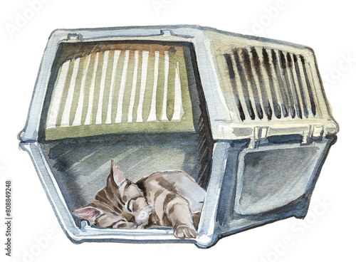 Cat in a carrier illustration isolated on white. Watercolor animal health care concept clipart. photo